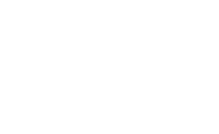 Dragon King Adhesive Logo